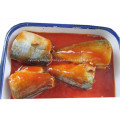Health Food Canned Mackerel in Tomato Sauce